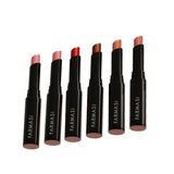 Set Lip Stylo